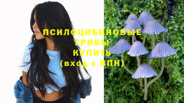 прущая мука Абаза