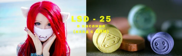 прущие грибы Абинск