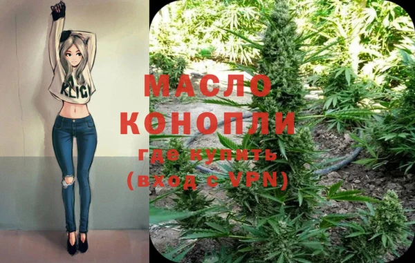 прущие грибы Абинск