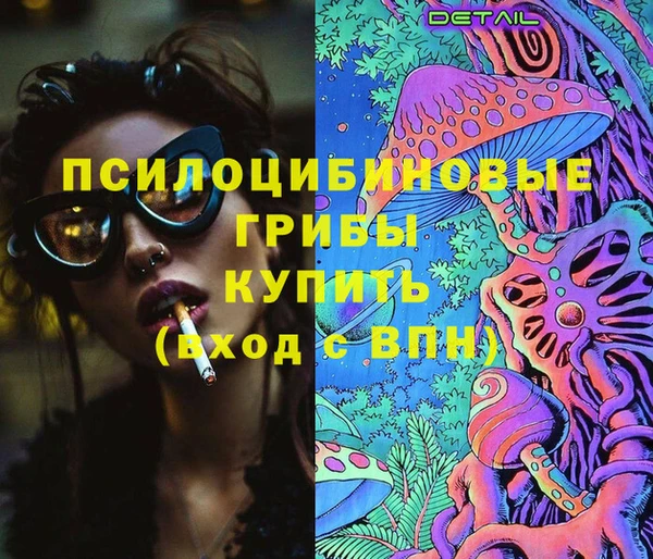 прущие грибы Абинск