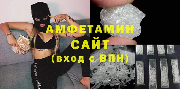 прущие грибы Абинск